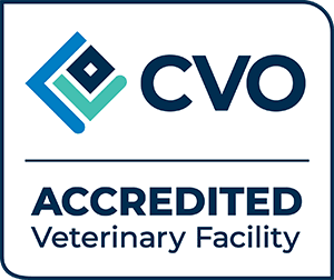 Bridlewood Animal Hospital | Kanata